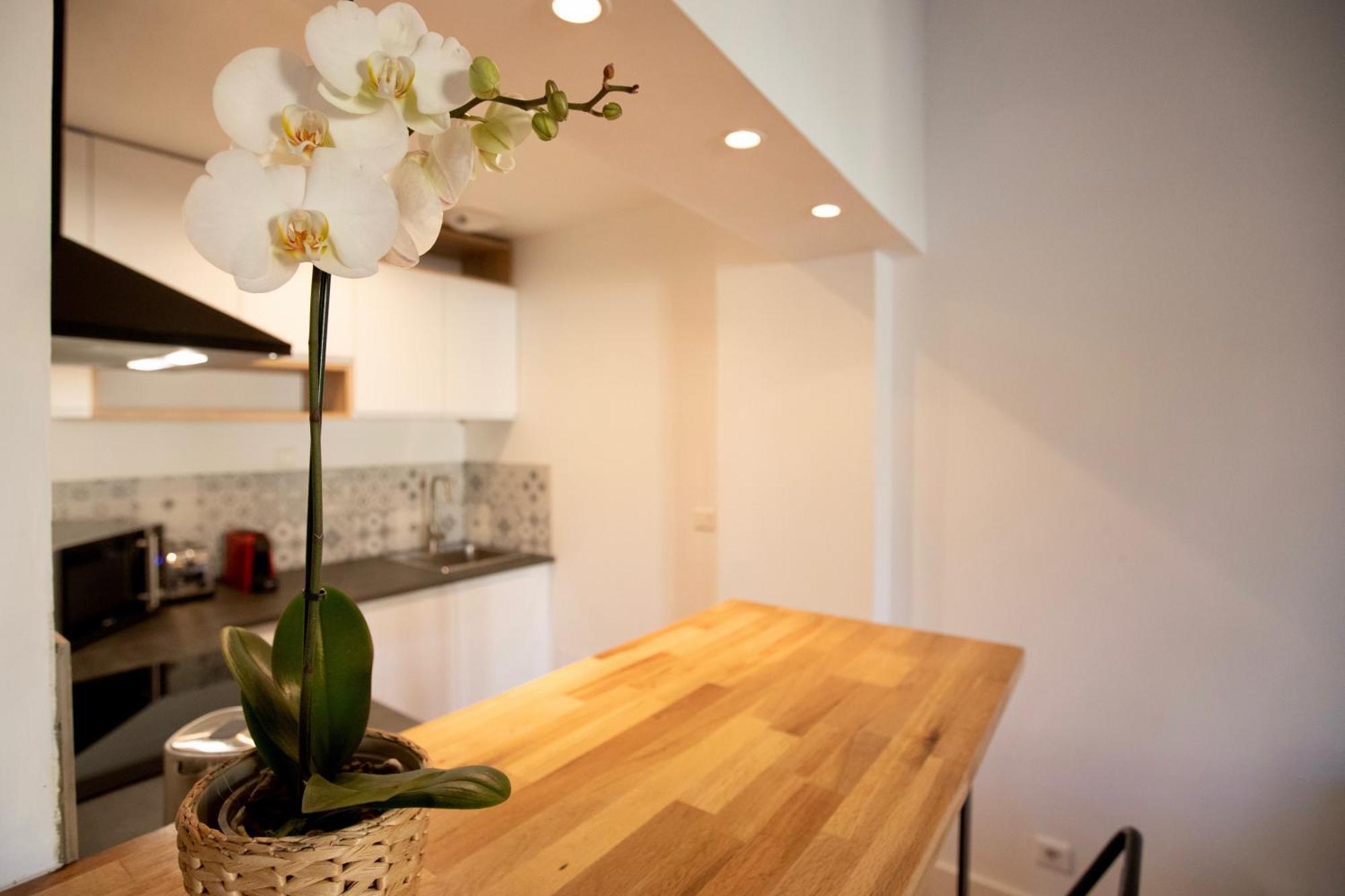 Home Chic Home - Les Toits De Sainte-Ursule Montpellier Esterno foto